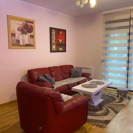 Borov Vrh 2 ズラティボール